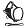 Kurgo Dog Harness Pet Walking Harness Medium Black No Pull Harness Front Clip Feature for Training Included Car Seat Belt TruFit Quick Release Style