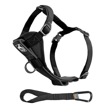 Kurgo Dog Harness Pet Walking Harness Medium Black No Pull Harness Front Clip Feature for Training Included Car Seat Belt TruFit Quick Release Style
