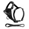 Kurgo Dog Harness Pet Walking Harness Medium Black No Pull Harness Front Clip Feature for Training Included Car Seat Belt TruFit Quick Release Style