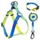 Aiitle AIITLE No Pull Dog Harness Leash Collar Adjustable Basic Collar with A Heavy Duty Leash Super Sturdy Buckle and D Ring Training Running for Large Dogs Blue Gradient L