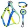 Aiitle AIITLE No Pull Dog Harness Leash Collar Adjustable Basic Collar with A Heavy Duty Leash Super Sturdy Buckle and D Ring Training Running for Large Dogs Blue Gradient L