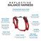 Blue-9 Blue9 Reflective BuckleNeck Balance Harness Fully Customizable Fit NoPull Harness with 3M Reflective Stitching Ideal for Dog Training and Obedience Made in The USA Red MediumLarge