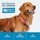 Blue-9 Blue9 Reflective BuckleNeck Balance Harness Fully Customizable Fit NoPull Harness with 3M Reflective Stitching Ideal for Dog Training and Obedience Made in The USA Red MediumLarge
