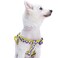 Blueberry Pet 2 Patterns Soft Comfy Stepin Loving Daisy Prints Padded Dog Harness Chest Girth 20 26 Medium Adjustable Harnesses for Dogs