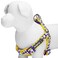 Blueberry Pet 2 Patterns Soft Comfy Stepin Loving Daisy Prints Padded Dog Harness Chest Girth 20 26 Medium Adjustable Harnesses for Dogs