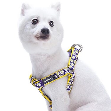 Blueberry Pet 2 Patterns Soft Comfy Stepin Loving Daisy Prints Padded Dog Harness Chest Girth 20 26 Medium Adjustable Harnesses for Dogs