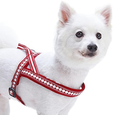 Blueberry Pet 4 Colors Soft Comfy 3M Reflective Jacquard Padded Dog Harness Chest Girth 30 385 Marsala Red Large Adjustable Harnesses for Dogs