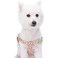 Blueberry Pet 9 Patterns Stepin Spring Scent Inspired Rose and Butterfly Print Pastel Pink Dog Harness Chest Girth 26 39 Large Adjustable Harnesses for Dogs