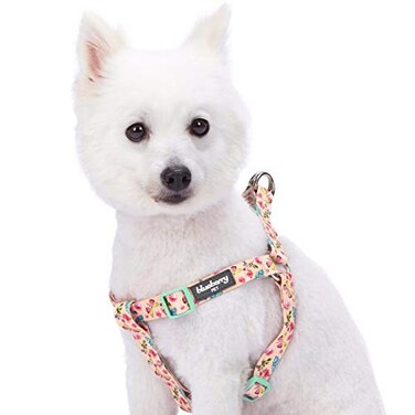 Blueberry Pet 9 Patterns Stepin Spring Scent Inspired Rose and Butterfly Print Pastel Pink Dog Harness Chest Girth 26 39 Large Adjustable Harnesses for Dogs