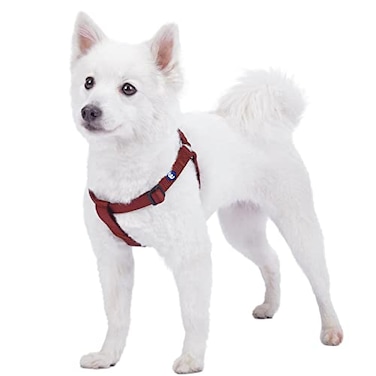 Blueberry Pet Essentials Stepin Dog Harness Large Size Adjustable Fired Brick Vest Classic Solid Nylon for Boy Girl Dogs Chest Girth 2639