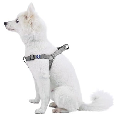 Blueberry Pet Essentials Stepin Dog Harness Large Size Adjustable Flint Gray Vest Classic Solid Nylon for Boy Girl Dogs Chest Girth 2639