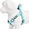 Blueberry Pet Essentials Stepin Dog Harness Large Size Adjustable Mint Blue Vest Classic Solid Nylon for Boy Girl Dogs Chest Girth 2639