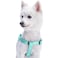 Blueberry Pet Essentials Stepin Dog Harness Large Size Adjustable Mint Blue Vest Classic Solid Nylon for Boy Girl Dogs Chest Girth 2639