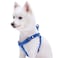 Blueberry Pet Essentials Stepin Dog Harness Large Size Adjustable Royal Blue Vest Classic Solid Nylon for Boy Girl Dogs Chest Girth 2639