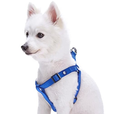Blueberry Pet Essentials Stepin Dog Harness Large Size Adjustable Royal Blue Vest Classic Solid Nylon for Boy Girl Dogs Chest Girth 2639