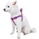 Blueberry Pet Essentials Stepin Dog Harness Large Size Adjustable Violet Vest Classic Solid Nylon for Boy Girl Dogs Chest Girth 2639