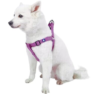Blueberry Pet Essentials Stepin Dog Harness Large Size Adjustable Violet Vest Classic Solid Nylon for Boy Girl Dogs Chest Girth 2639