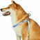 Blueberry Pet Essentials Stepin Dog Harness Medium Size Adjustable Chambray Blue Vest Classic Solid Nylon for Boy Girl Dogs Chest Girth 20 26