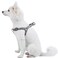 Blueberry Pet Essentials Stepin Dog Harness Medium Size Adjustable Flint Gray Vest Classic Solid Nylon for Boy Girl Dogs Chest Girth 20 26