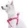Blueberry Pet Essentials Stepin Dog Harness Medium Size Adjustable French Pink Vest Classic Solid Nylon for Boy Girl Dogs Chest Girth 20 26