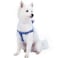 Blueberry Pet Essentials Stepin Dog Harness Medium Size Adjustable Marina Blue Vest Classic Solid Nylon for Boy Girl Dogs Chest Girth 20 26