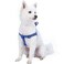 Blueberry Pet Essentials Stepin Dog Harness Medium Size Adjustable Marina Blue Vest Classic Solid Nylon for Boy Girl Dogs Chest Girth 20 26