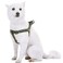 Blueberry Pet Essentials Stepin Dog Harness Medium Size Adjustable Military Green Vest Classic Solid Nylon for Boy Girl Dogs Chest Girth 20 26