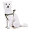 Blueberry Pet Essentials Stepin Dog Harness Small Size Adjustable Military Green Vest Classic Solid Nylon for Boy Girl Dogs Chest Girth 165 215