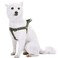 Blueberry Pet Essentials Stepin Dog Harness Small Size Adjustable Military Green Vest Classic Solid Nylon for Boy Girl Dogs Chest Girth 165 215