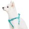 Blueberry Pet Essentials Stepin Reflective Back to Basics Dog Harness Minty Green Chest Girth 165 215 Small Adjustable Harnesses for Dogs