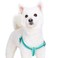 Blueberry Pet Essentials Stepin Reflective Back to Basics Dog Harness Minty Green Chest Girth 165 215 Small Adjustable Harnesses for Dogs