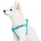 Blueberry Pet Essentials Stepin Reflective Back to Basics Dog Harness Minty Green Chest Girth 165 215 Small Adjustable Harnesses for Dogs