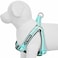 Blueberry Pet Soft Comfy 3M Reflective Stepin Pastel Color Padded Dog Harness Chest Girth 165 215 Mint Blue Small Adjustable Harnesses for Dogs