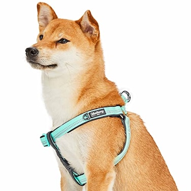 Blueberry Pet Soft Comfy 3M Reflective Stepin Pastel Color Padded Dog Harness Chest Girth 165 215 Mint Blue Small Adjustable Harnesses for Dogs