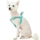 Blueberry Pet Stepin Dog Harness Velvety Heart Flocking Valentines Day Adjustable Harnesses for Small Dogs Mint Green Chest Girth 165 215