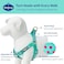 Blueberry Pet Stepin Dog Harness Velvety Heart Flocking Valentines Day Adjustable Harnesses for Small Dogs Mint Green Chest Girth 165 215