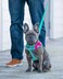 Blueberry Pet Stepin Dog Harness Velvety Heart Flocking Valentines Day Adjustable Harnesses for Small Dogs Mint Green Chest Girth 165 215
