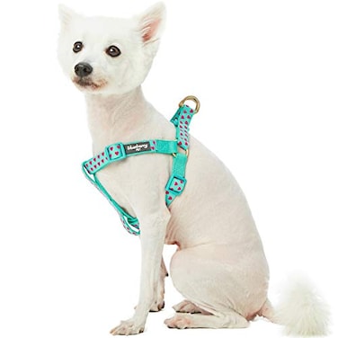Blueberry Pet Stepin Dog Harness Velvety Heart Flocking Valentines Day Adjustable Harnesses for Small Dogs Mint Green Chest Girth 165 215