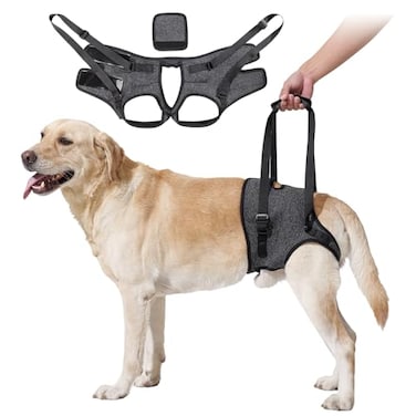 HEYWEAN Dog Sling for Large Dogs Hind Leg Support Harness Ideal for Elderly Injured Arthritic Dogs Provides Rehabilitation Aid for Weak Back Legs Comfortable and Durable Design