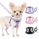 Lukovee No Pull Puppy Harness and Leash Set Adjustable Lightweight Soft Dog Harness Reflective Step in Breathable Mesh Vest with 51in Leash for Walking Hiking Small Medium Dogs Purple XXS