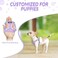 Lukovee No Pull Puppy Harness and Leash Set Adjustable Lightweight Soft Dog Harness Reflective Step in Breathable Mesh Vest with 51in Leash for Walking Hiking Small Medium Dogs Purple XXS