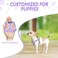 Lukovee No Pull Puppy Harness and Leash Set Adjustable Lightweight Soft Dog Harness Reflective Step in Breathable Mesh Vest with 51in Leash for Walking Hiking Small Medium Dogs Purple XXS