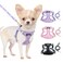 Lukovee No Pull Puppy Harness and Leash Set Adjustable Lightweight Soft Dog Harness Reflective Step in Breathable Mesh Vest with 51in Leash for Walking Hiking Small Medium Dogs Purple XXS