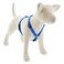 LupinePet Originals 34 Dapper Dog 2032 Adjustable Roman Dog Harness for Medium Dogs