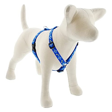 LupinePet Originals 34 Dapper Dog 2032 Adjustable Roman Dog Harness for Medium Dogs