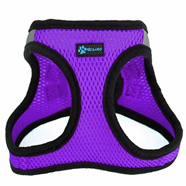 Max and Neo Nanu Small Dog Reflective Dog Harness We Donate a Harness to a Dog Rescue for Every Harness Sold Small Purple