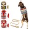 Muttitude Dog Harness Leash Set for Small Breeds Extra Large Goa