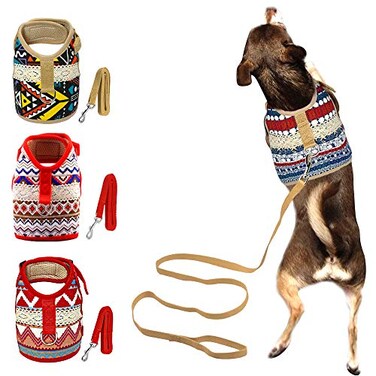 Muttitude Dog Harness Leash Set for Small Breeds Extra Large Goa