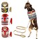 Muttitude Dog Harness Leash Set for Small Breeds Extra Large Goa