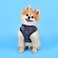 Puppia Terry Dog Harness OverTheHead Winter Suede Warm No Choke No Pull Training Walking for Small and Medium Dog Grey Small